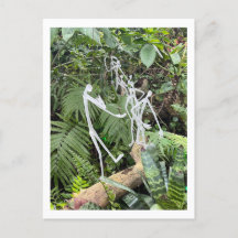 Bâton de la salle des orchidées Figures 3 | Conser