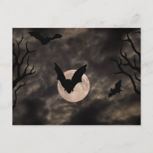 Carte Postale Bats Nuit Effrayante Halloween