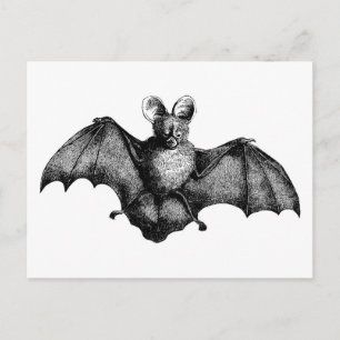 Carte Postale Batte vintage