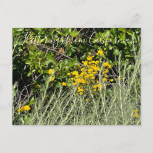Carte Postale Battements d'ailes de Californie : Achillée dorée