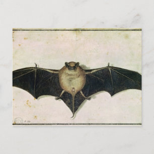 Carte Postale Batterie, 1522
