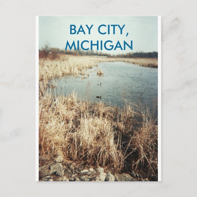 CARTE POSTALE BAY CITY, MICHIGAN POSTCARD (Devant)