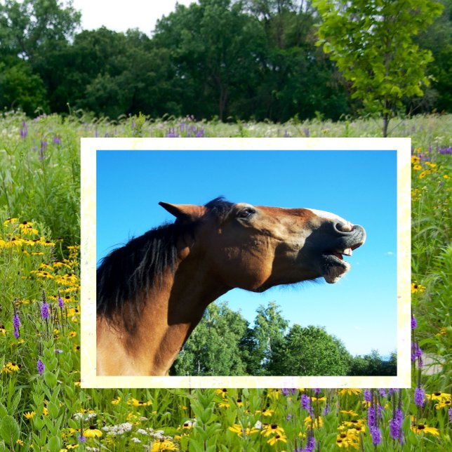Carte Postale Bay Horse Whinnying in the Air (Créateur téléchargé)