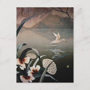 Carte Postale Bayou blanc dans les fleurs du soir
