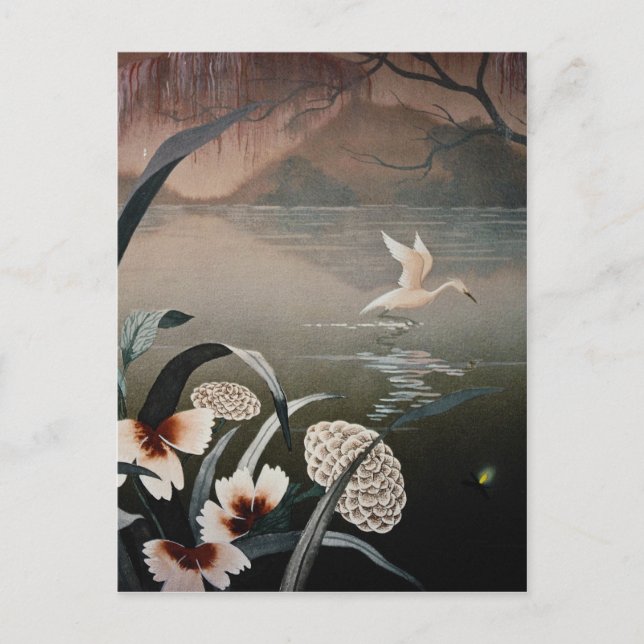 Carte Postale Bayou blanc dans les fleurs du soir (Devant)