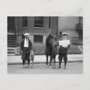 Carte Postale Be Kind to Animals Week, 1923