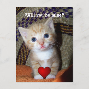Carte Postale Be Mine Kitten