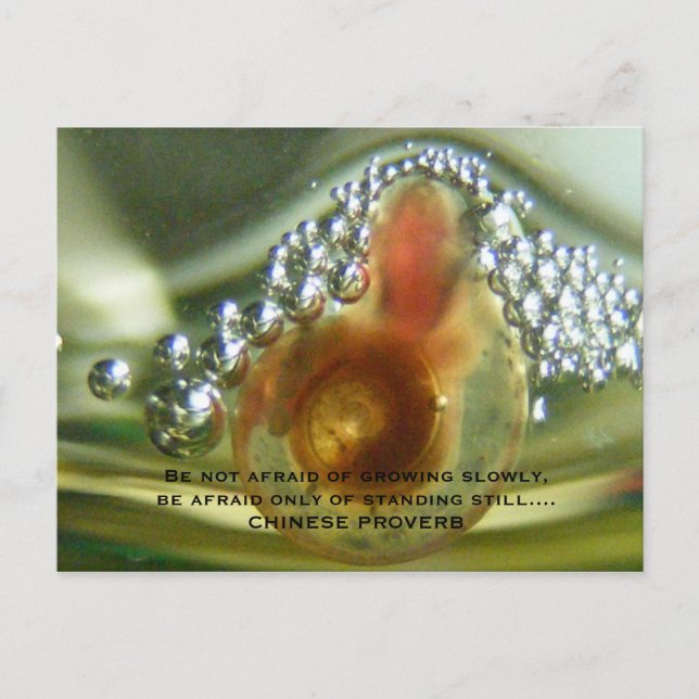 Carte Postale Be not afraid of growing slowly, be a... (Devant)