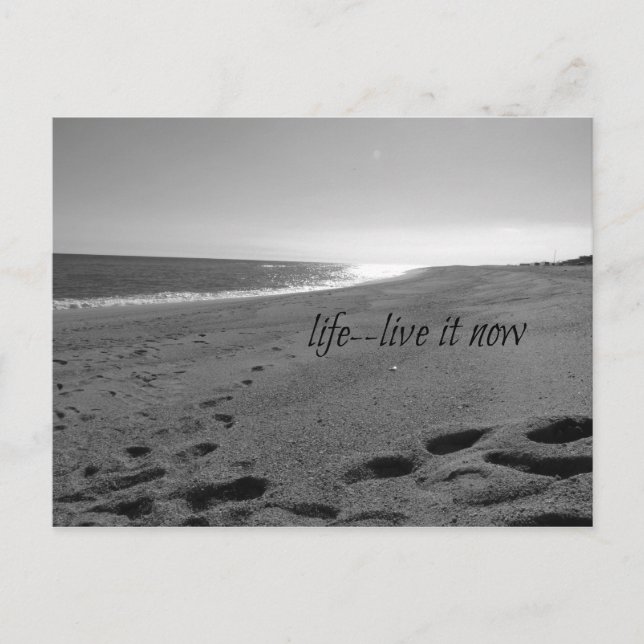 Carte Postale Beach and Life Quote Postcard (Devant)