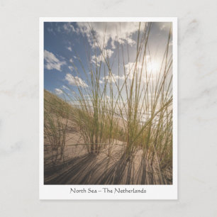 Carte Postale Beach and Sun Nature Photo