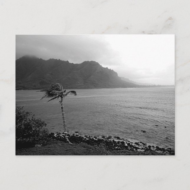 Carte postale "Beach Front" (Devant)