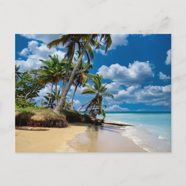 Carte Postale Beach Ocean Photo 168 (Devant)