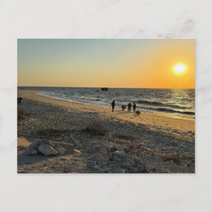 Carte postale Beach Ocean Sunset