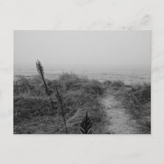 Carte Postale Beach path
