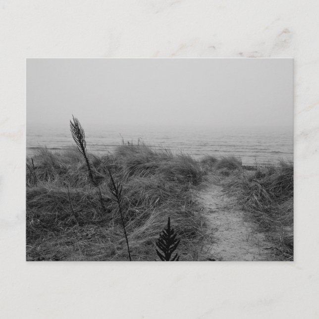 Carte Postale Beach path (Devant)