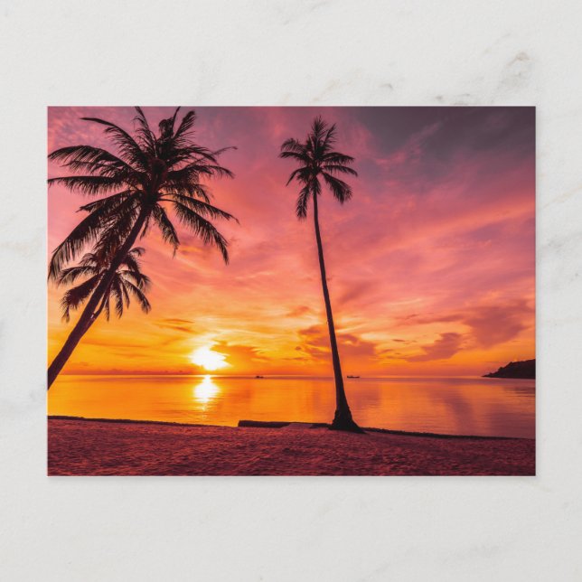 Carte postale Beach Sunset (Devant)