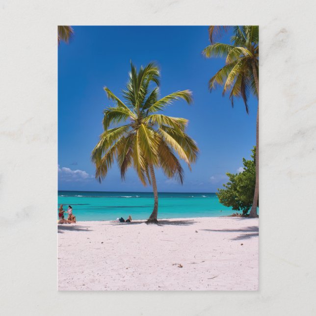 Carte Postale Beach, White Sand, Palm Trees Summer Vacation (Devant)