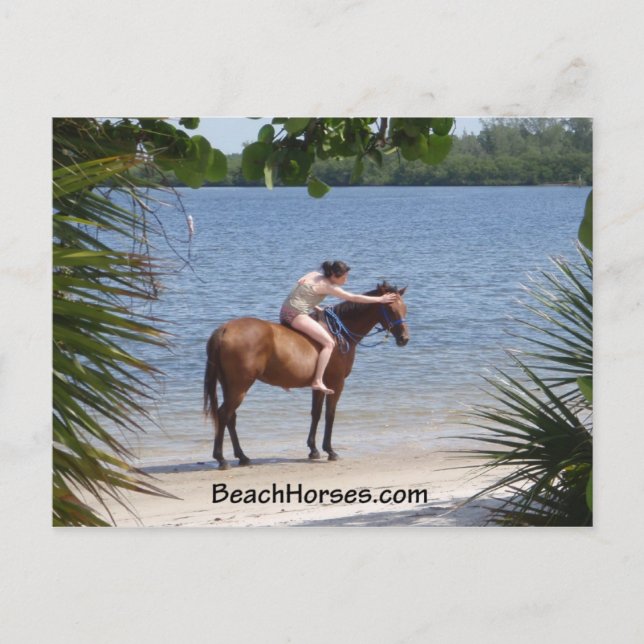 Carte Postale BeachHorses.com (Devant)