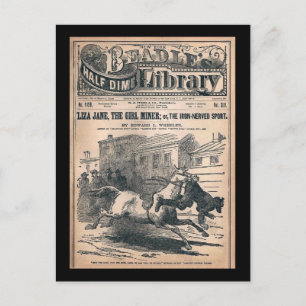 Carte Postale Beadles Half Dime Library No. 1120 1901