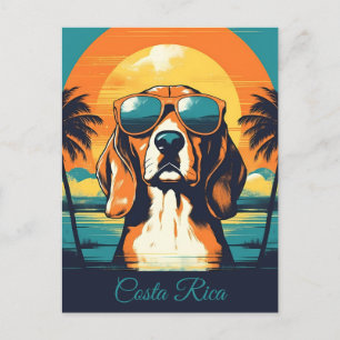 Carte Postale Beagle avec lunettes de soleil sur une plage tropi