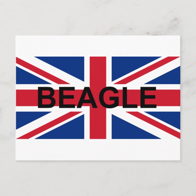 Carte Postale beagle nom england drapeau du Royaume-Uni (Devant)