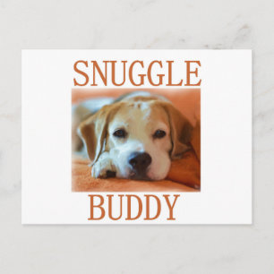 Carte Postale beagle petit pote