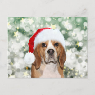 Carte Postale Beagle portant un chapeau de Père Noël