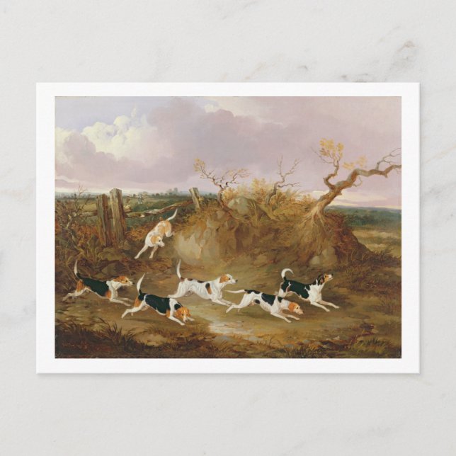 Carte Postale Beagles en Plein Cry, 1845 (huile sur toile) (Devant)