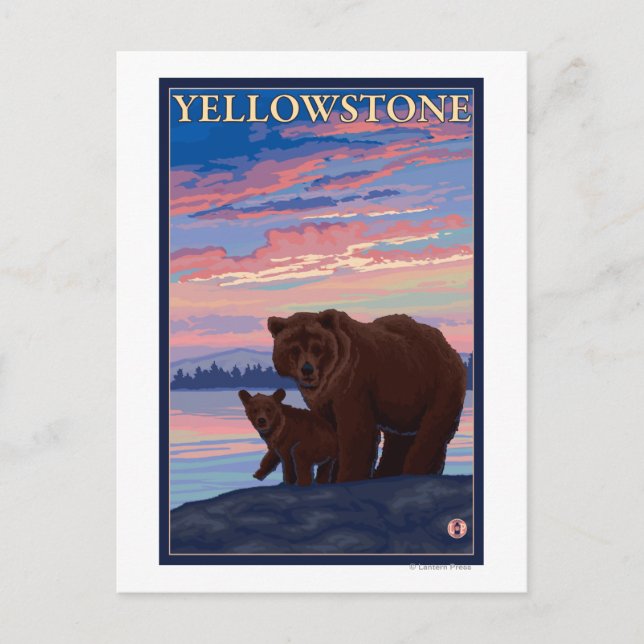 Carte Postale Bear and Cub - Parc national de Yellowstone (Devant)