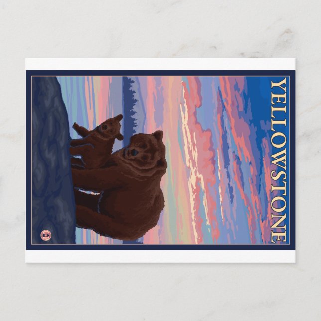 Carte Postale Bear and Cub - Parc national de Yellowstone (Devant)