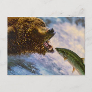 CARTE POSTALE BEAR FISH WILD ANIMAL POSTCROSSING