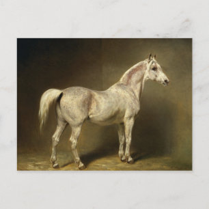 Carte Postale Béatrice