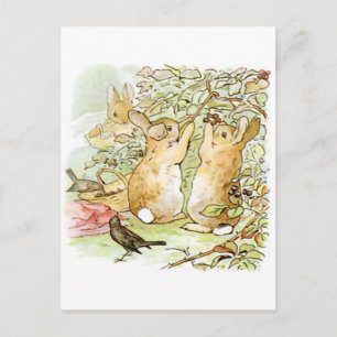 Carte Postale Beatrix Potter, Bunnies, Raspberry Bush, Oiseaux