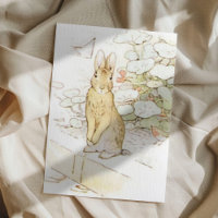 Beatrix Potter du conte de Pierre le lapin