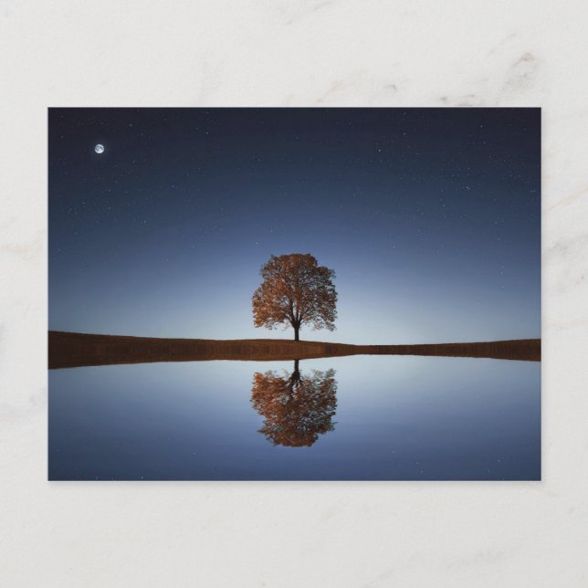 Carte Postale Beau arbre solitaire reflété dans le lac à Dusk (Devant)