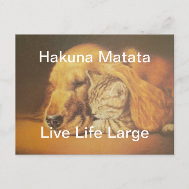 Carte Postale Beau art Extraordinaire de chats et de chats de ch (Devant)