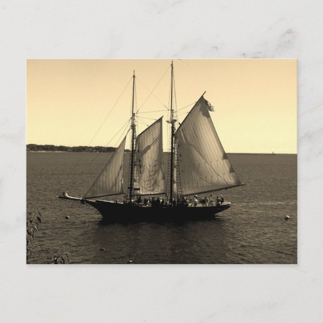 Carte Postale Beau bateau sur l'Océan (Devant)