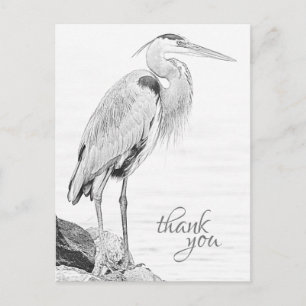 Carte Postale Beau Blue Heron Eau Esquisse Merci