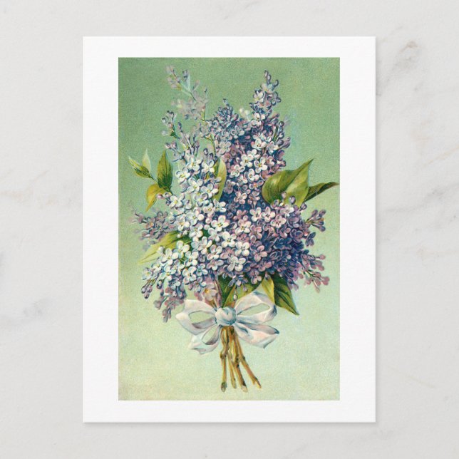 Carte postale : Beau bouquet de lavande (Devant)