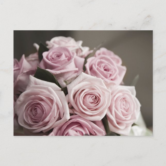Carte Postale Beau bouquet rose (Devant)