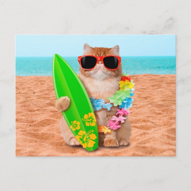 Carte Postale Beau chat surfeur sur la plage (Devant)