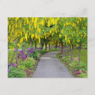 Carte Postale Beau chemin de jardin de printemps