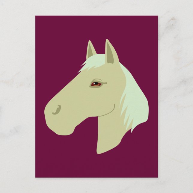 Carte Postale Beau Cheval (Devant)