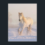 Carte Postale Beau Cheval Blanc Courant dans la Neige<br><div class="desc">Carte postale avec une photographie d'un magnifique cheval blanc. Courant à travers un champ enneigé. Majestueux et beau.</div>