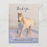 Beau cheval blanc dans le Merci photo de neige