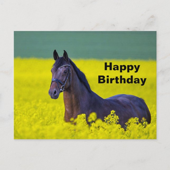 Carte Postale Beau Cheval Fleurs Jaunes Photo Anniversaire (Devant)