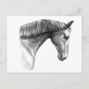 Carte Postale Beau cheval foncé vintage