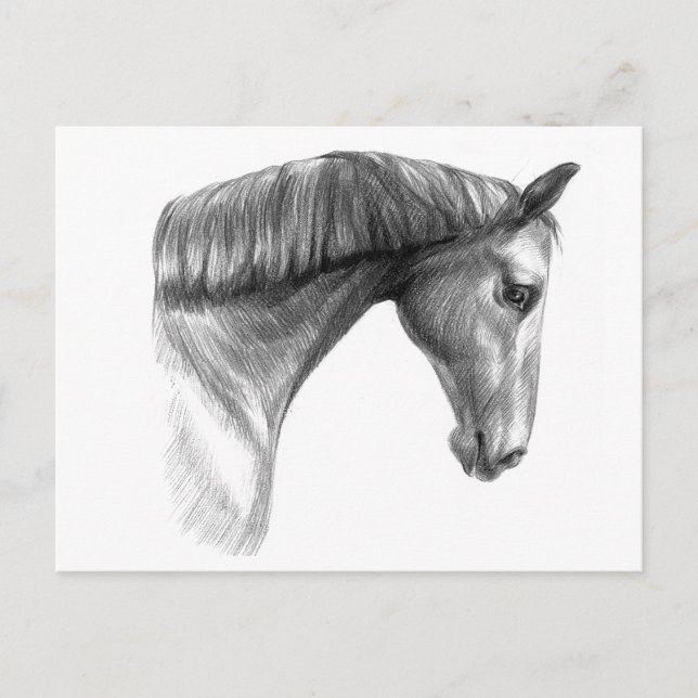 Carte Postale Beau cheval foncé vintage (Devant)