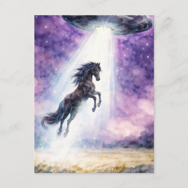 Carte Postale Beau Cheval Noir et OVNI (Devant)