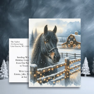 Carte Postale Beau Cheval Noir Festif à la ferme Noël